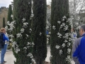 El-retiro-18-03-201916