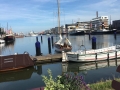 IMG-20190824-WA0003