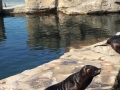 IMG-20190824-WA0010